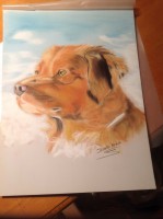 /album/galerie-photos/photo-1704-jpg/